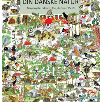 Plakat - Find pindsvinet Rumle
