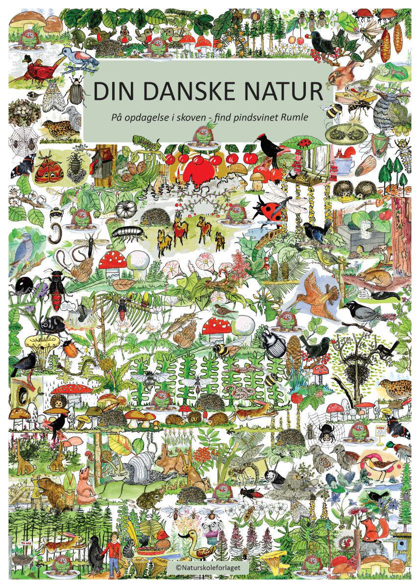 Plakat - Find pindsvinet Rumle